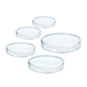 Borosillicate petri dishes