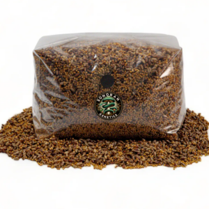 1.5 Kg grain spawn bag